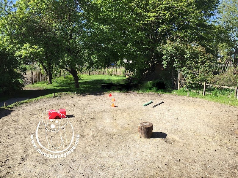 Mon Chien Sympa - photo 3