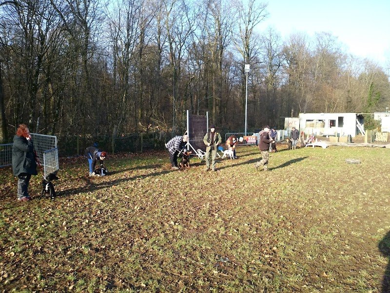 Club canin de Florenville