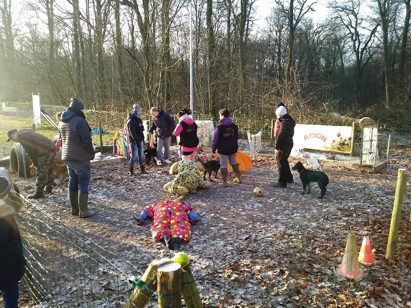 Club canin de Florenville - photo 3