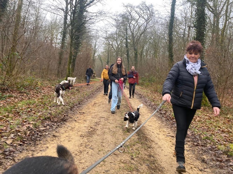 Hélène Fontaine coach en éducation et comportement canin