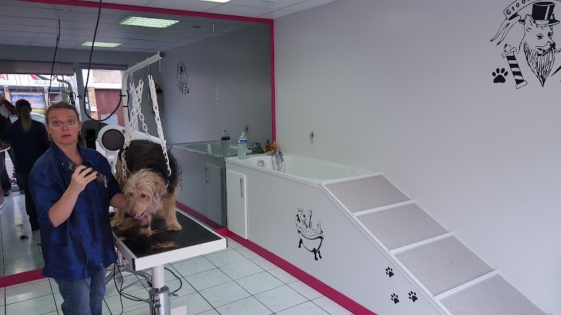 Les Aristochiens - photo 3