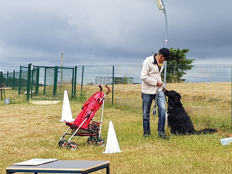 Le Club des Chiens Joyeux de Custinne asbl - photo 2