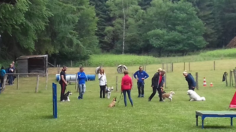 Club canin Les Leus Smuid - photo 2