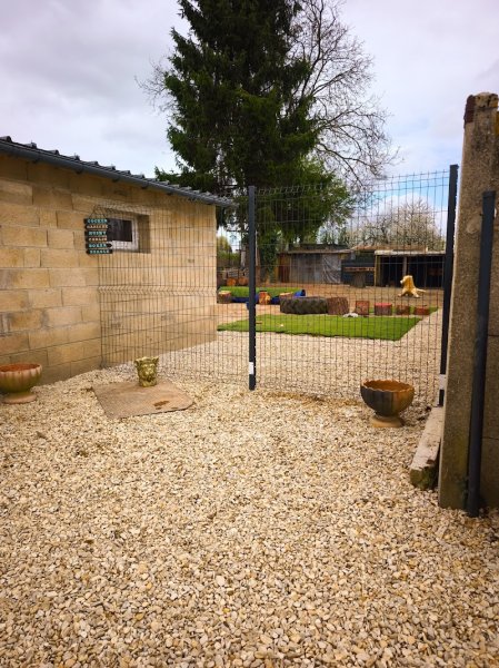 Pension Canine La Retourne - photo 2