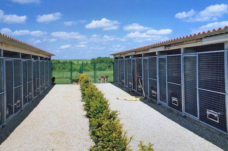 Pension Canine La Retourne - photo 3