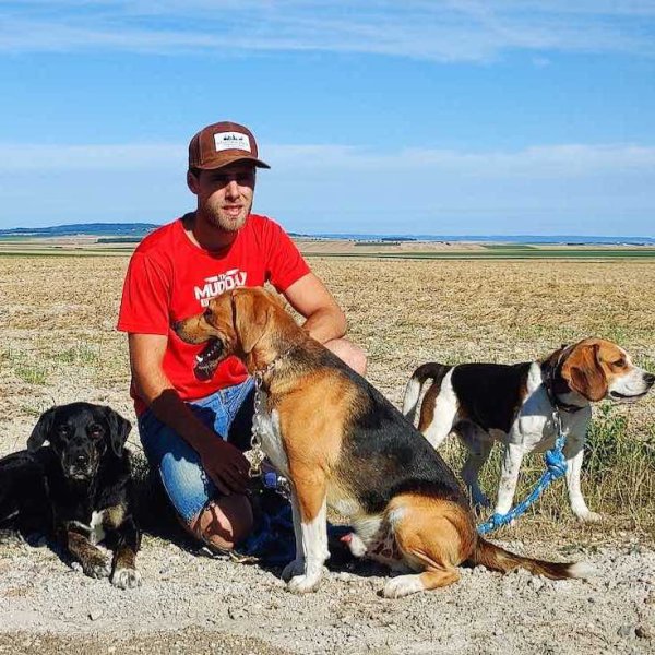 Éducateur canin RespectDogs Berru