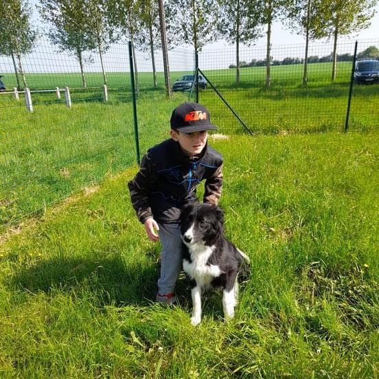 Club canin de la Haie des Copelins - photo 1