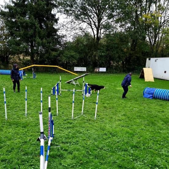 Club canin de la Haie des Copelins - photo 3