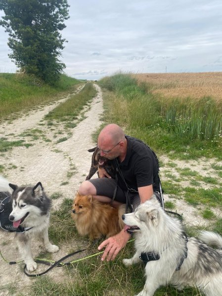 Pat4Dogs - Éducation et pension canine