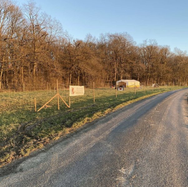 Lorem Animalis/L’univers canin 55 - Centre D'Education Et de Comportement Canin