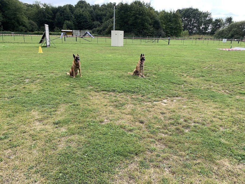 Club Canin Suippes - photo 1