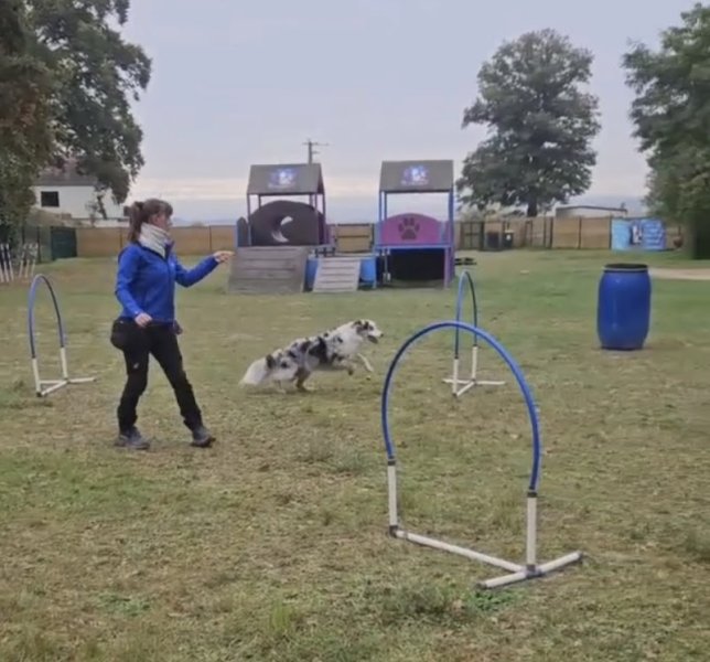 We Can Dog It - photo 1