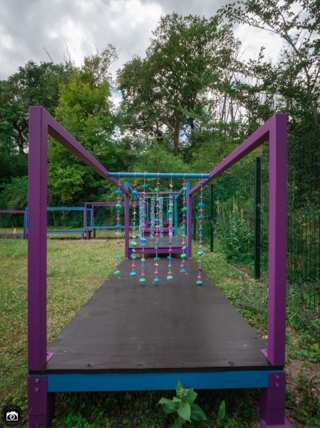 We Can Dog It - photo 2