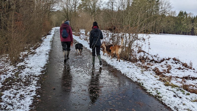 Tony Comportementaliste et Educateur Canin - photo 2