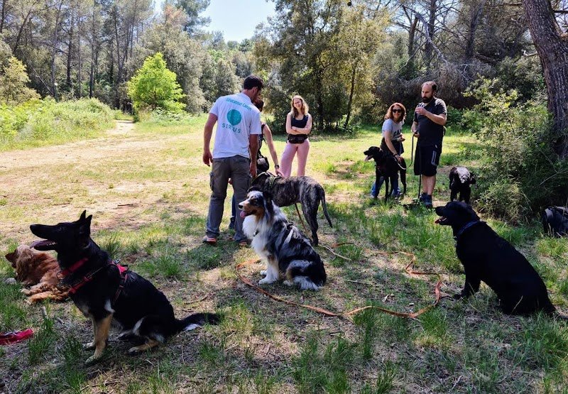 François ILLY - Sirius Education Canine à domicile - photo 2