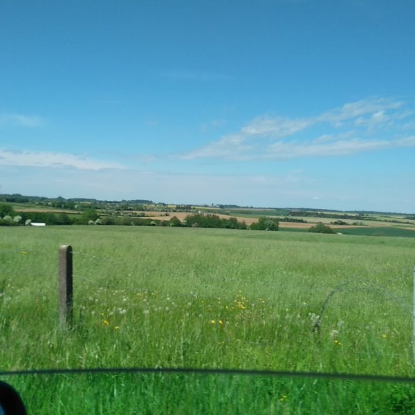 Centre Canin Eliteform ( Terrain De Dressage Anor) - photo 3