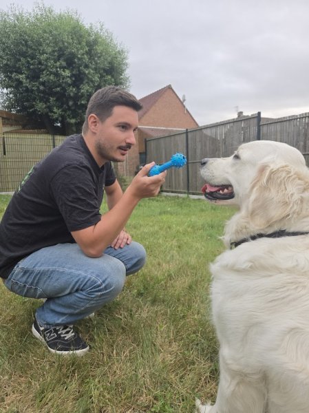 Educateur canin à domicile - Alexis Roger - photo 2