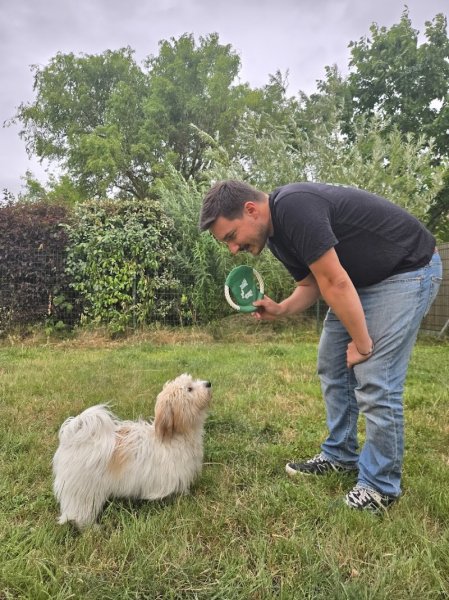 Educateur canin à domicile - Alexis Roger - photo 3