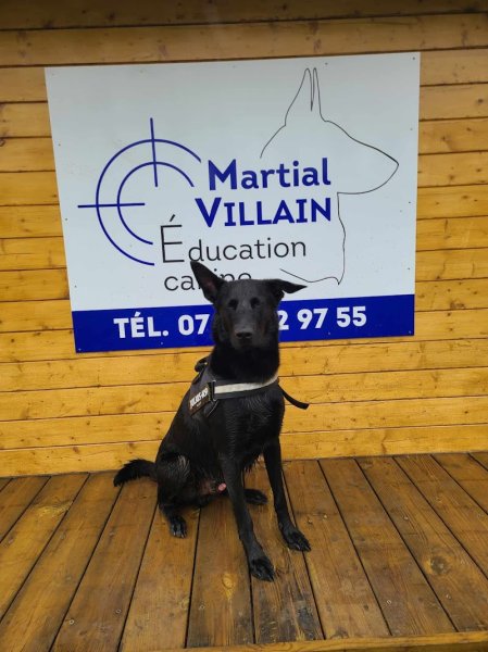 Martial VILLAIN Education Canine - photo 2