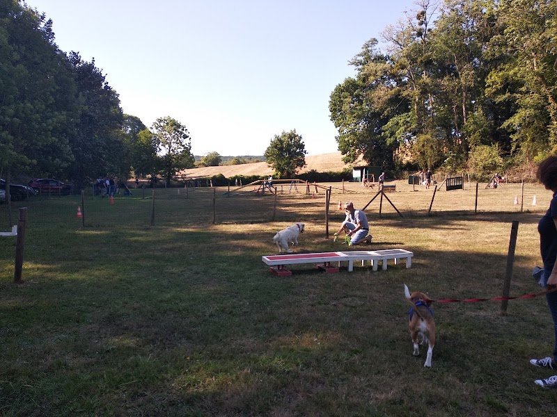 Club d'éducation canine Cergy-Vexin-Théméricourt - photo 1