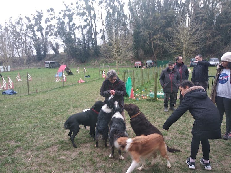 Club d'éducation canine Cergy-Vexin-Théméricourt - photo 2