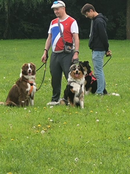 educat dogs & co - photo 2