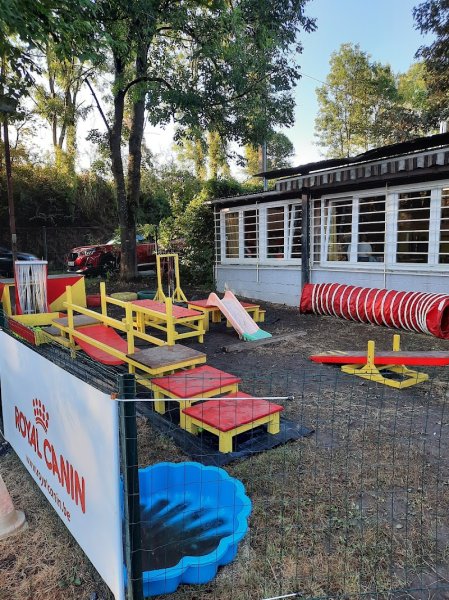 Centre d'éducation canine des Bourquis - photo 2