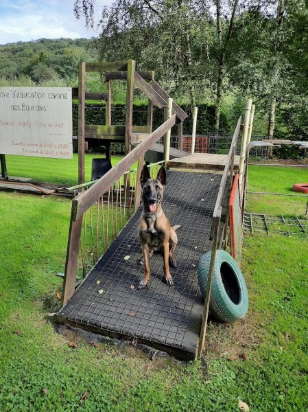 Centre d'éducation canine des Bourquis - photo 3