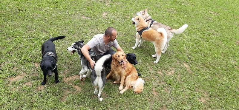 Yannick Pecheur, éducateur canin - photo 2