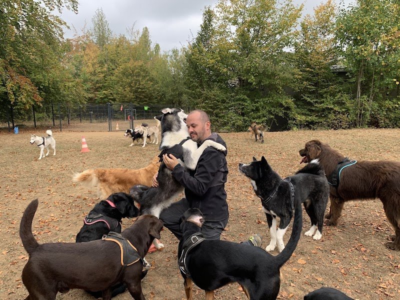 Yannick Pecheur, éducateur canin - photo 3