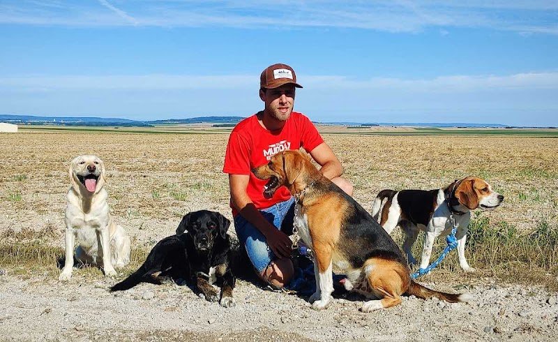 Éducateur canin RespectDogs Reims - photo 1