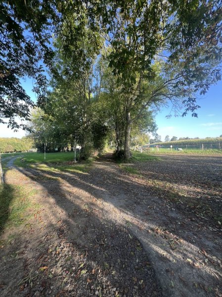 Centre canin Le Val d'Ingy - photo 1