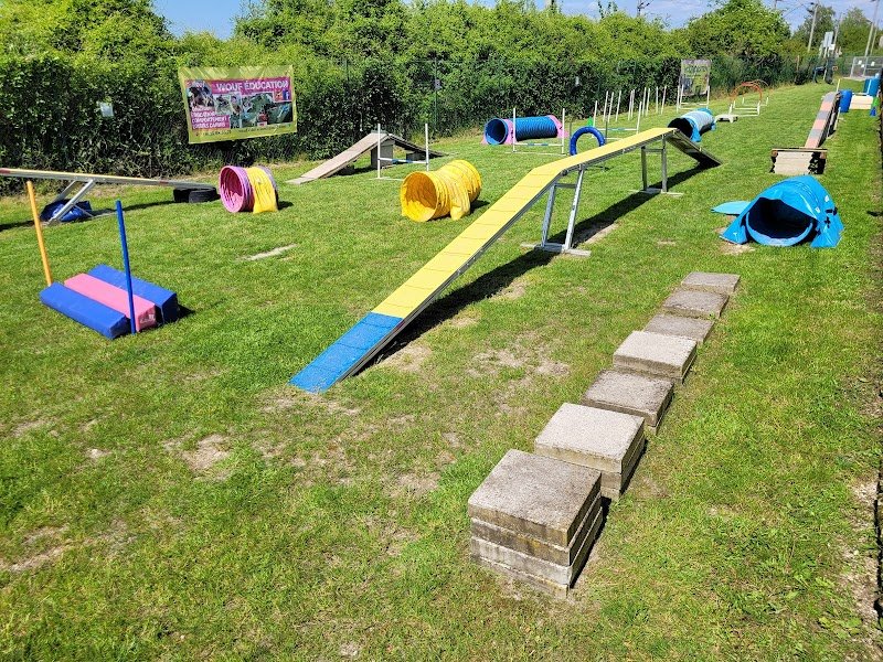 Wouf Éducation, éducateur et photographe canin à Reims - photo 1