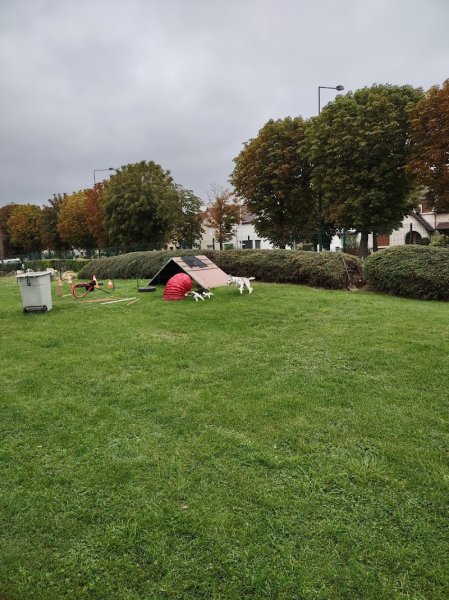 CRDCU - Club Canin de Reims - photo 3