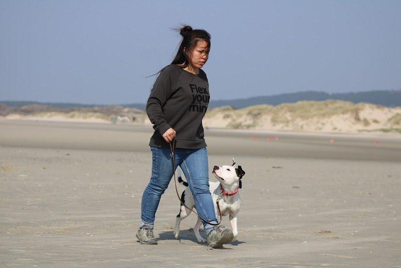 Justine - Education Canine