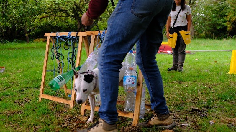 Justine - Education Canine - photo 2