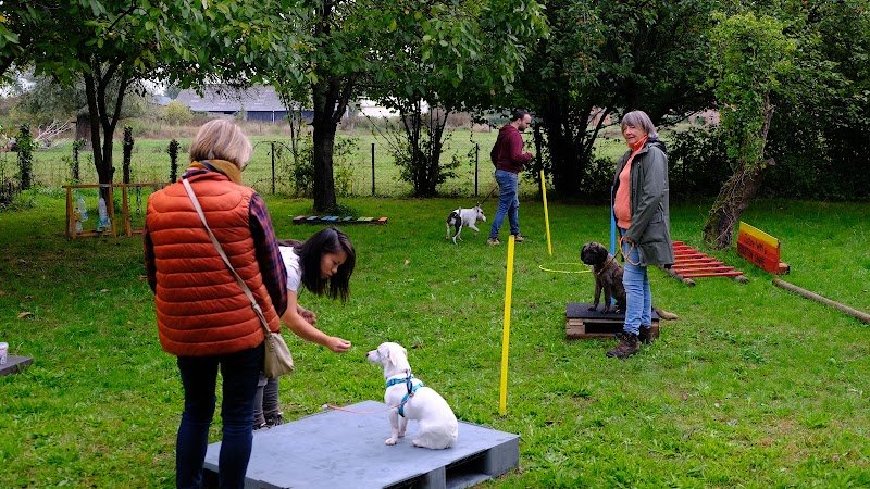 Justine - Education Canine - photo 3