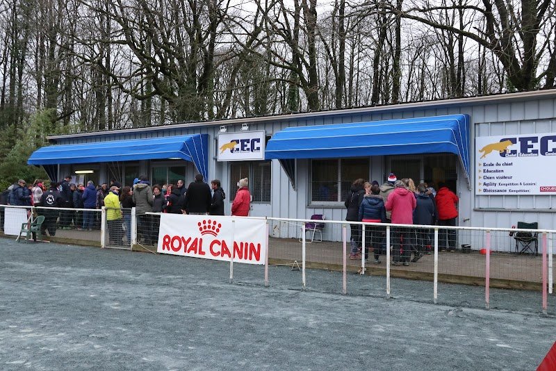 Cholet Education Canine - photo 2