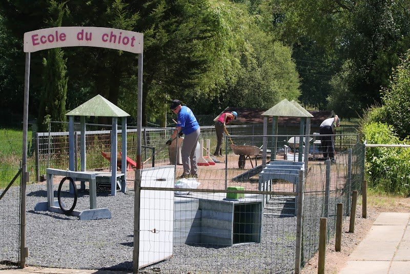 Cholet Education Canine - photo 3