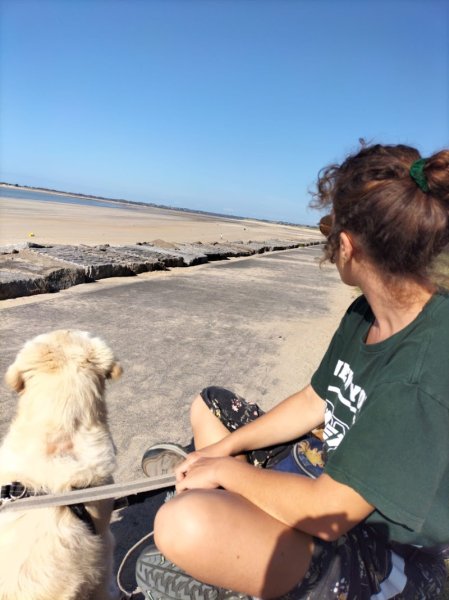 Éducation Honnête - Education canine - Educateur canin, approche éthologique