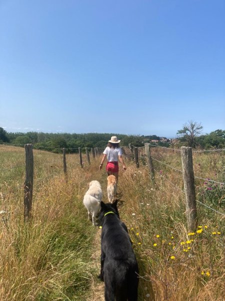 Éducation Honnête - Education canine - Educateur canin, approche éthologique - photo 2