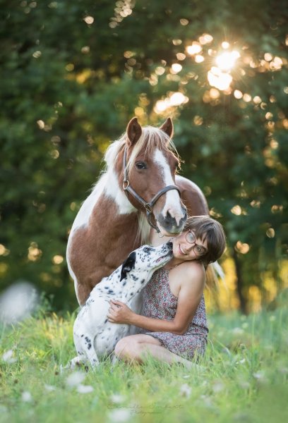 Anim'Apaise - Comportementaliste Canin et Médiation Animale