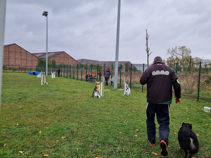 COMPIEGNE EDUCATION CANINE - photo 3