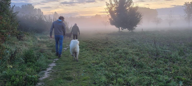 ChrisProDog Éducateur Canin Comportementaliste