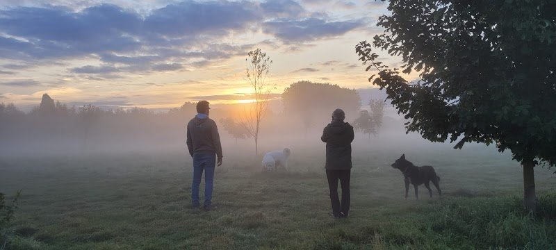 ChrisProDog Éducateur Canin Comportementaliste - photo 3
