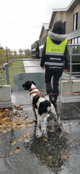 Libr'Anima - Comportementaliste Educateur Canin - photo 3