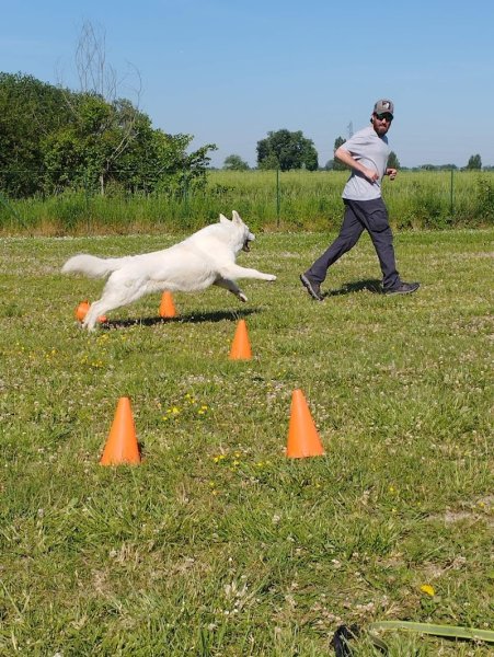 Remy Sense - Dog & Me - Educateur canin - photo 1