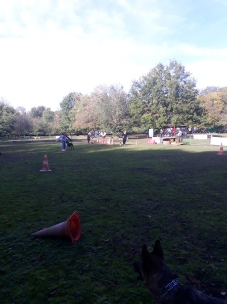 Training Club Canin de Metz - photo 3