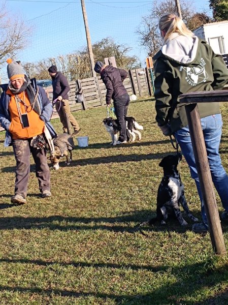 Isocanin asbl - photo 2