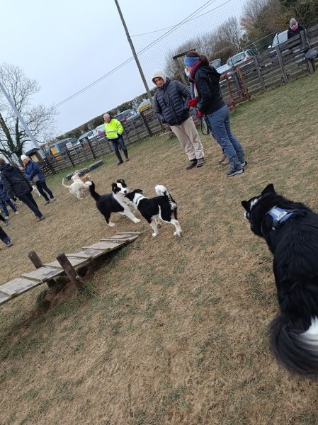 Isocanin asbl - photo 3